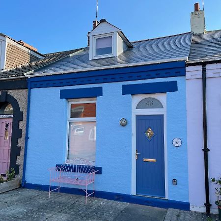 Cowrie Cottage ノース・シールズ エクステリア 写真