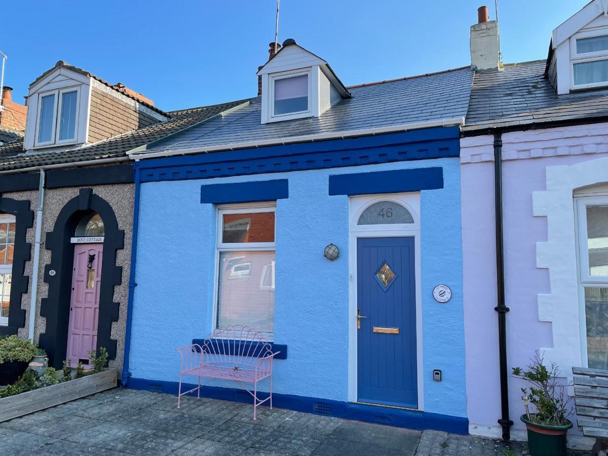 Cowrie Cottage ノース・シールズ エクステリア 写真