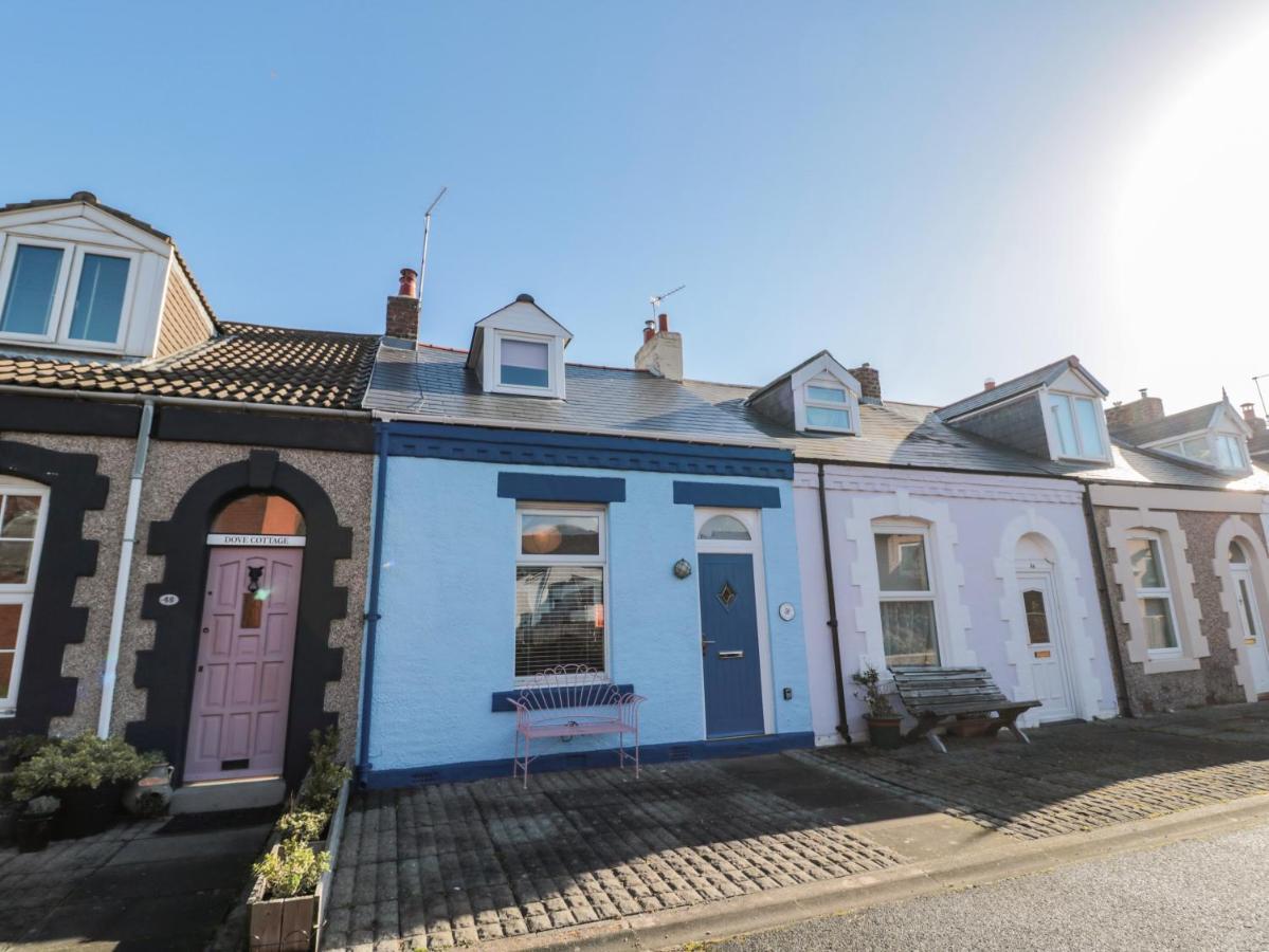 Cowrie Cottage ノース・シールズ エクステリア 写真